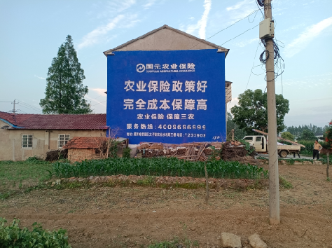 贵港墙体广告的优劣势你知道吗？